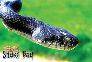 World Snake Day Quotes, Images, Slogan, Meme, Messages, and WhatsApp Status
