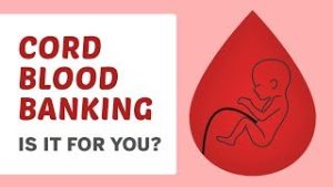 Cord Blood, Cord Blood Banking, Cord Blood Stem Cells, Cord Blood Donation